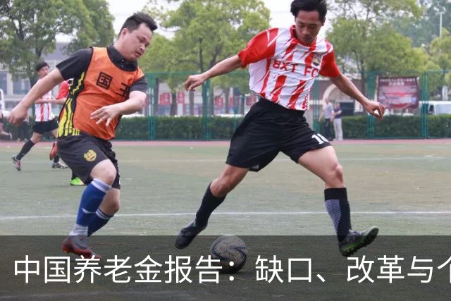 中国养老金报告：缺口、改革与个人