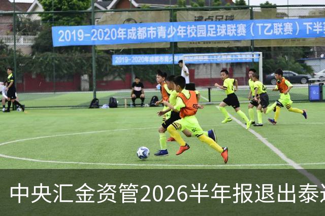 中央汇金资管2026半年报退出泰达股份前十大股东名单