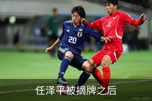 任泽平被摘牌之后