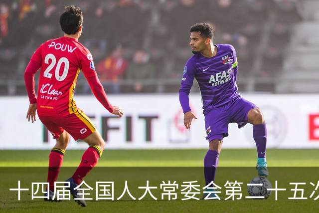 十四届全国人大常委会第二十五次会议将于11月2日至6日在京举行
