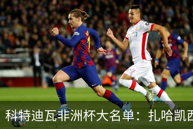 科特迪瓦非洲杯大名单：扎哈凯西拜利阿莱在列