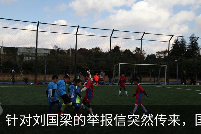 针对刘国梁的举报信突然传来，国际乒联对此终于正式动手回应了！