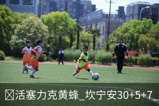 🏀活塞力克黄蜂 坎宁安30+5+7 詹金斯14分 米勒31+12